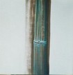 Bamboo by Brigitte Baert